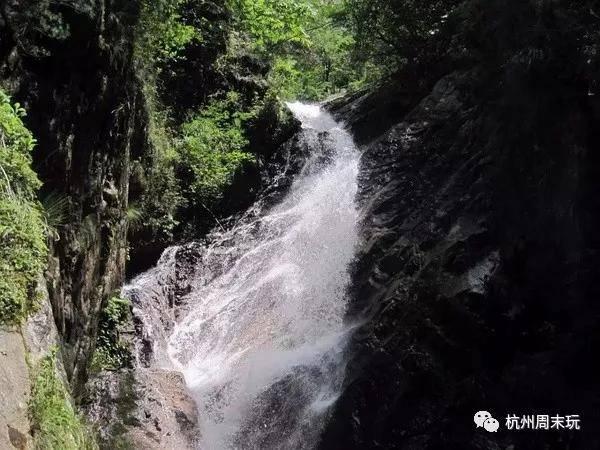 小红帽的冒险之旅