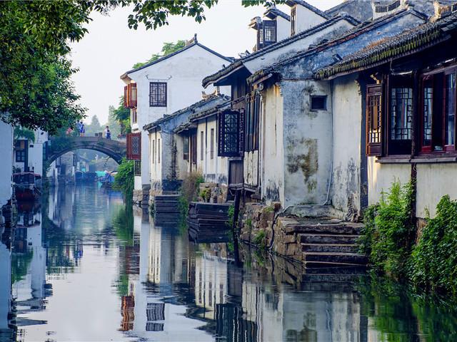 救援小肥兔
